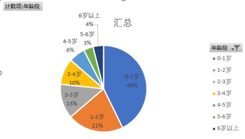 孕婴产品数据分析中的数据清洗与处理关键技术